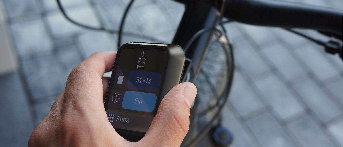 Ebike Controller – PolemoNick Wode